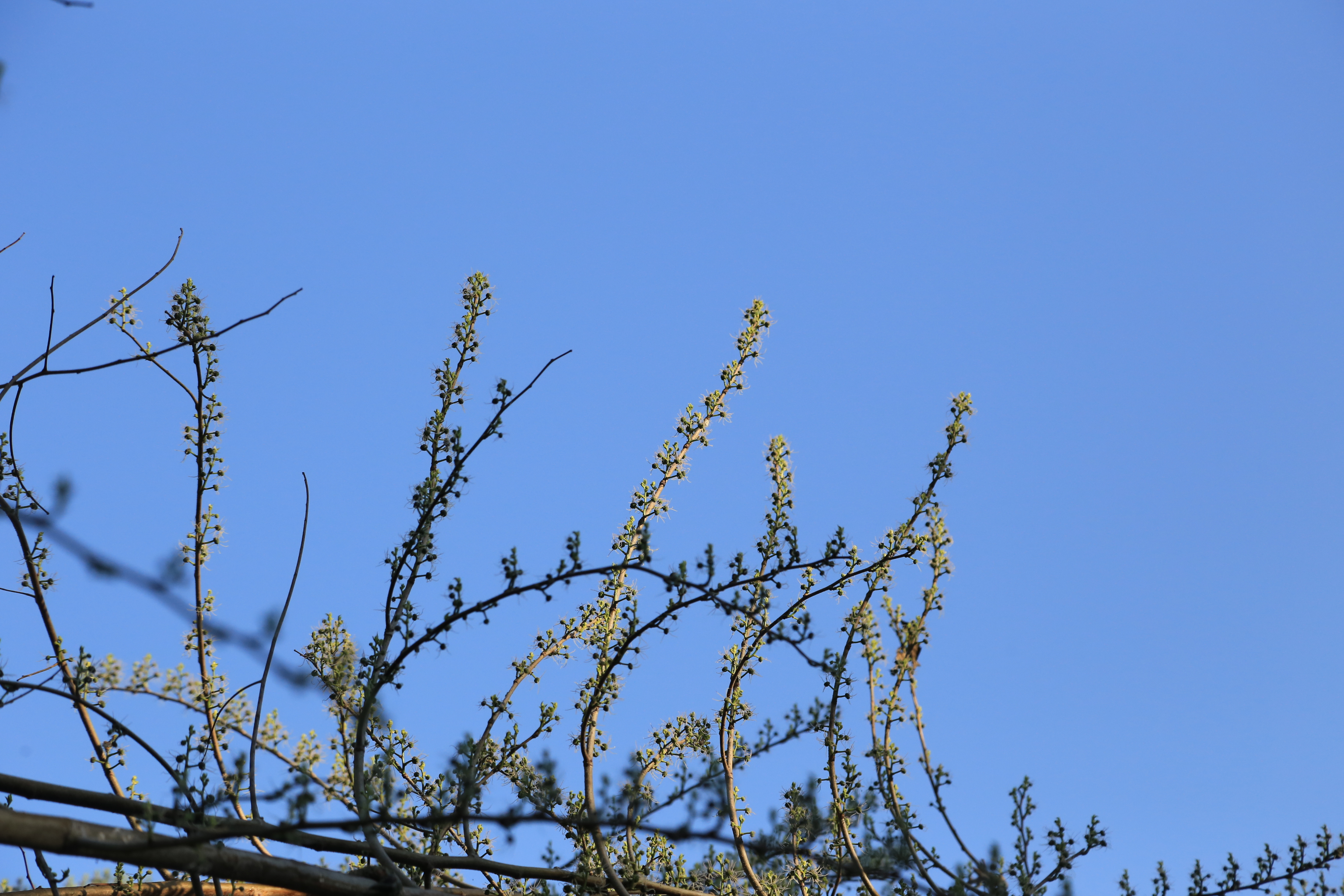 ท้องฟ้า สายลม แสงจันทร์ ที่สันคะยอม